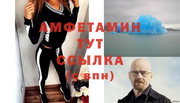мдпв Вяземский