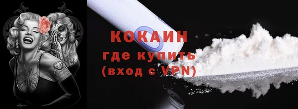 мдпв Вяземский